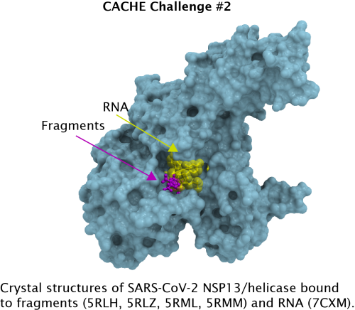 FINDING LIGANDS TARGETING THE CONSERVED RNA BINDING SITE OF SARS CoV 2  NSP13 | CACHE