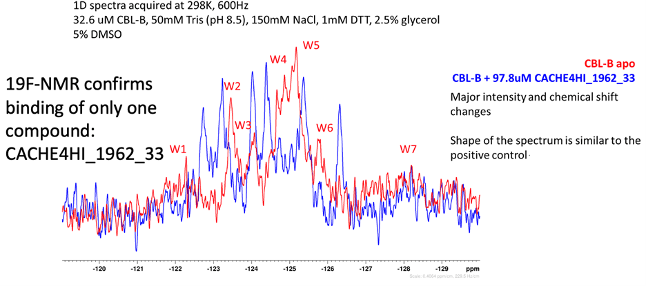 Graph of 19F NMR for CACHE4HI1962