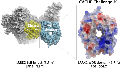 Protein structure for Challenge 1