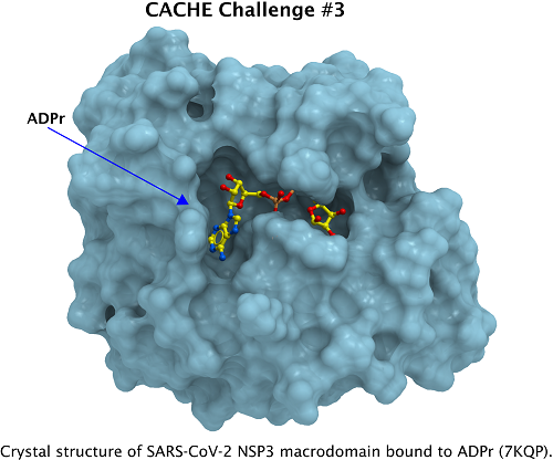 Protein structure for Challenge 3
